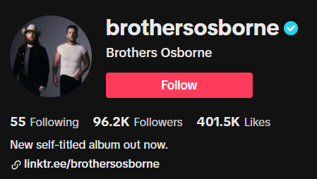bros tiktok.png